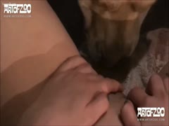Pet paramour gets strange affection